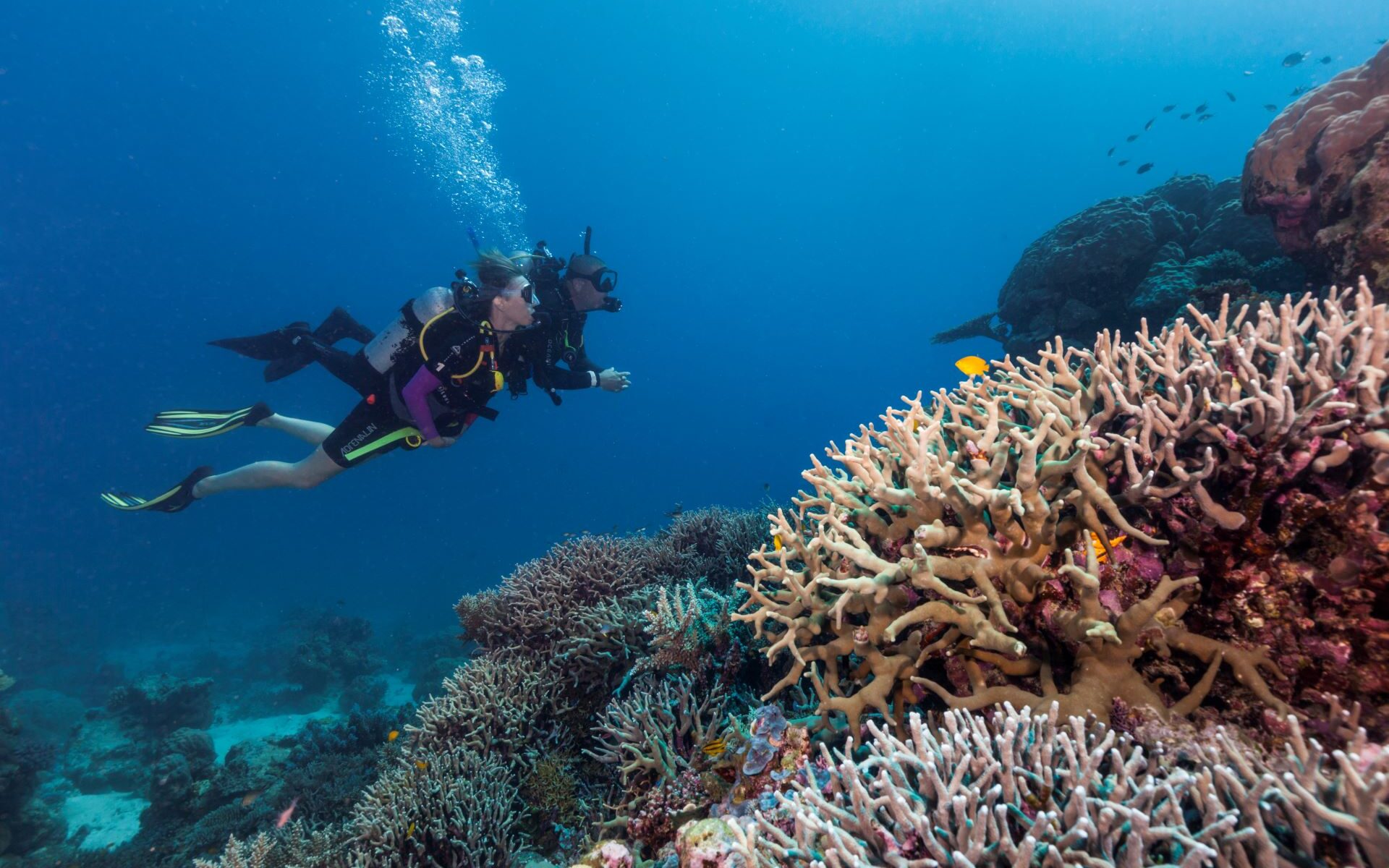 Great Barrier Reef