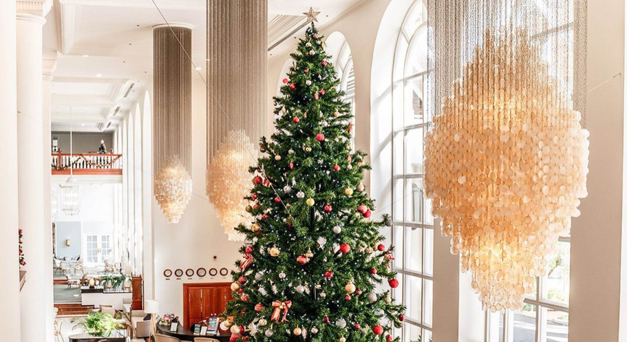 Christmas tree at Pullman Cairns International